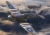 1/24 Supermarine Spitfire Mk.IXc - Airfix