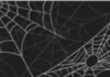 Spider Serum - Create a Web of Tangled Plastic Filaments