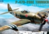 1/48 Free French Air Force Republic P-47D-28RE Thunderbolt