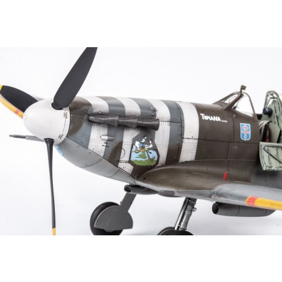 1/48 Spitfire Story: The Sweeps / Spitfire Mk.Va & Mk.Vb [Limited Edition]