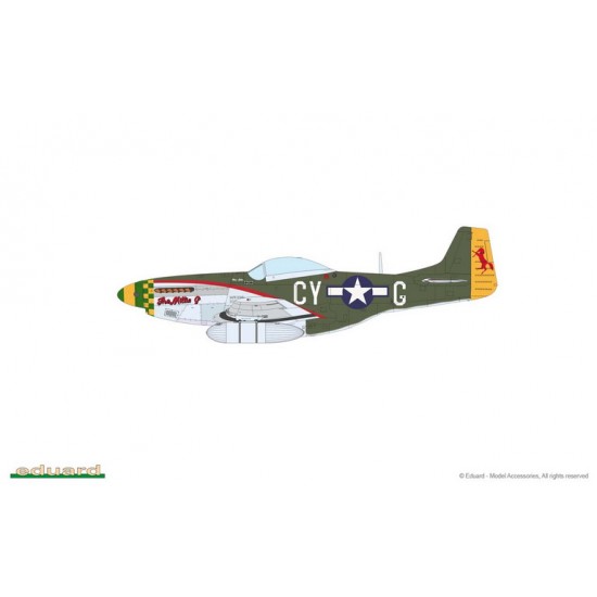 1/48 Mighty Eight: US P-51D Mustang 66th Fighter Wing [Limited Edition]