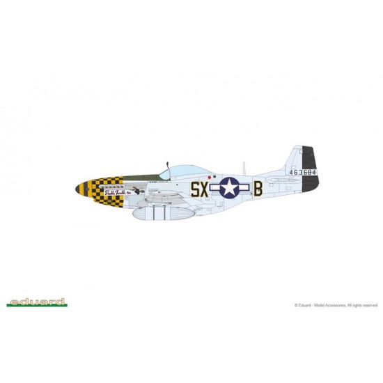 1/48 Mighty Eight: US P-51D Mustang 66th Fighter Wing [Limited Edition]