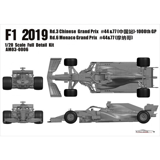 1/20 Mercedes AMG F1 W10