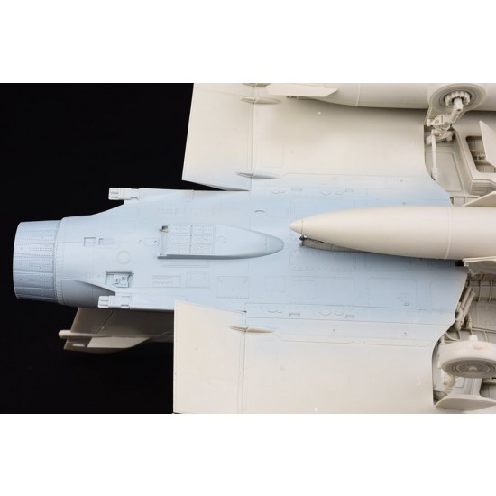 1/32 Dassault Mirage 2000 D/N