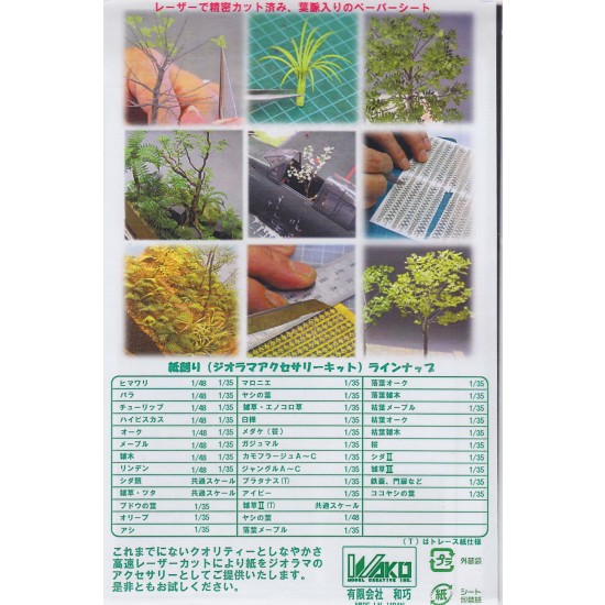 1/35 Simon bamboo - Paper Plant kit