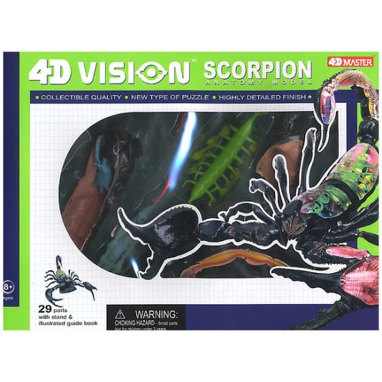 4D Vision Series Puzzle - Scorpion Anatomy Model 