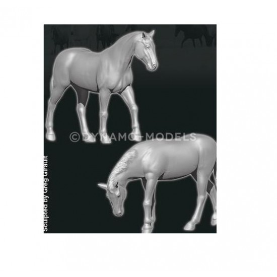 1/72 Animal Serie - Horses