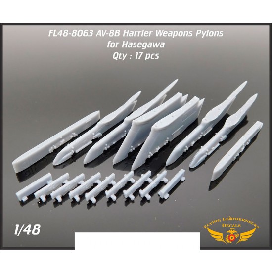 1/48 AV-8B Weapons Pylons for Hasegawa kits