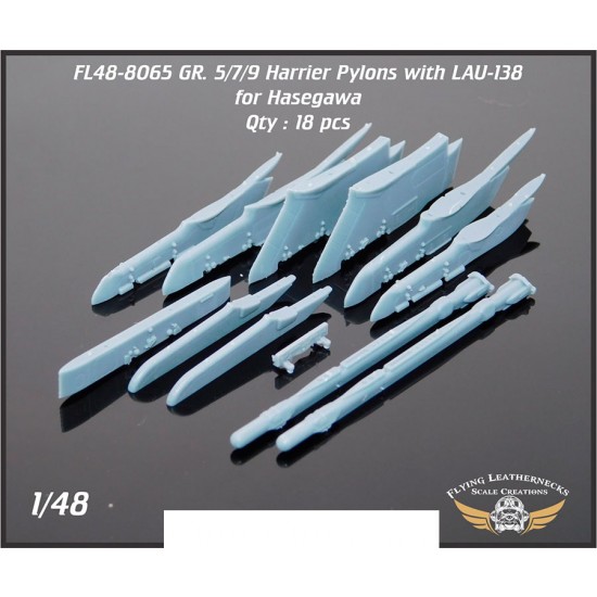 1/48 AV-8B Weapons Pylons RAF GR5/7/9 with LAU-138 for Trumpeter kits