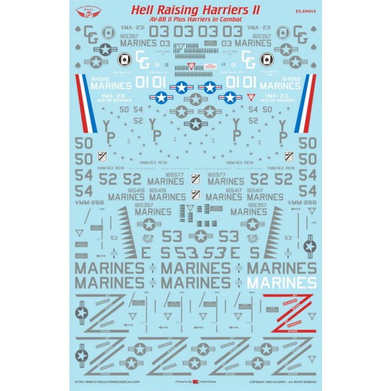 1/48 AV-8B II Plus Hell Raising Harriers II Waterslide Decals