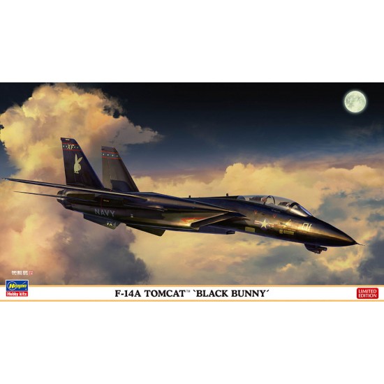 1/72 Modern US Jet Fighter F-14A Tomcat "Black Bunny"