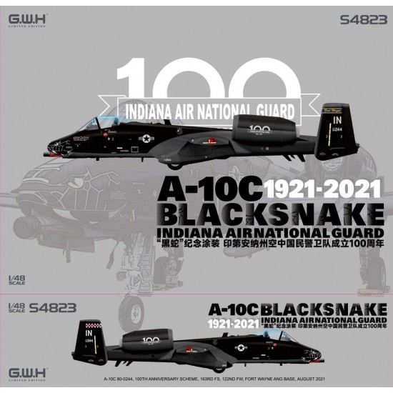 1/48 A-10C Blacksnakes, Indiana Air National Guard 1921-2021