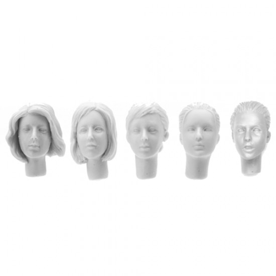 1/16 Female Head Set (5pcs)