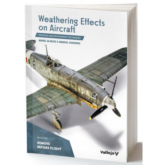 Weathering Effects on Aircraft (Manel Blasco and Manuel Soriano)