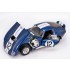 1/12 Cobra Coupe #CSX2601 1965 Daytona/Sebring/LM #CSX2286 1965 LM