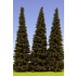 1/32, 1/35 180-220mm Spruce (3pcs)