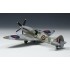 1/48 Supermarine Spitfire Mk.XIVc [Premium Edition]