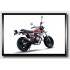 1/12 Honda APE 50 Deluxe Naked Bike 