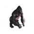 4D Vision Series Puzzle - Gorilla Anatomy Model