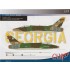 Decals for 1/32 F-100D Super Sabre 128th TFS Georgia ANG 