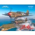 1/48 US P-40E Warhawk Fighter Aircraft DUAL COMBO [Limited Edition]