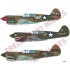 1/48 US P-40E Warhawk Fighter Aircraft DUAL COMBO [Limited Edition]