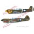 1/48 US P-40E Warhawk Fighter Aircraft DUAL COMBO [Limited Edition]