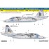 Decal for 1/48 SU-25 Ukrainian Digit Camouflage II