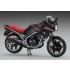 1/12 Honda VT250F (MC08) (1984) "BLACK COLOR" - Japanese Motorcycle