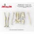 1/24 Human Skeleton Single Bones Set