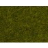 Wild Grass "Meadow" (6mm, 100g) For O,HO,TT,N Scale