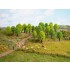 HO, TT Scale Deciduous Trees (25pcs, 5 - 9cm)