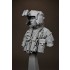 1/9 US Army Apache Pilot Bust