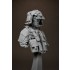 1/9 US Army Apache Pilot Bust