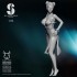 75mm Scale Sexy Secret Service Cheongsam Girl #13