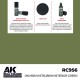 Real Colours Lacquer Based Paint - Military #IJN M3 (M) MITSUBISHI Interior Green (17ml)