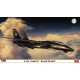 1/72 Modern US Jet Fighter F-14A Tomcat "Black Bunny"