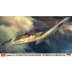 1/48 Kyushu J7W1 Interceptor Fighter Shinden "Metropolitan Defense 1946"