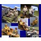 1/72 B-17 Flying Fortress Crew set (10 figures)