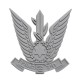 Israeli Air Force Emblem (Size 45 x 47 mm / 1.77 x 1.85 inches)