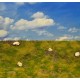 Landscape Mat - Dry Rocky Meadow (Size: approx. 20 x 30cm, thick: 1cm)