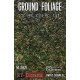 1/35 Ground Foliage: Coniferous Forest (80ml)