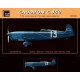 1/72 Caudron C.450 Resin kit