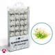 [Soil Works] Flower Power for Sceneries #White (28 bushes, each height: approx 1cm)