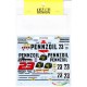 1/24 Nissan Skyline GTR (R33) Pennzoil JGTC 1998 Decals for Tamiya kit