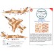 1/48 SEPECAT French Jaguar Gr1/Gr3 Daguet 2 Camouflage Mask